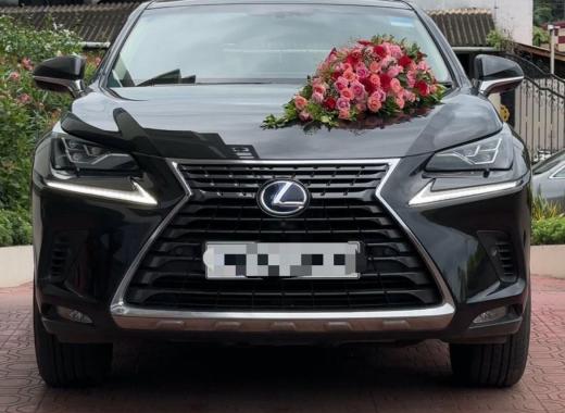 Lexus NX 300h