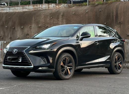 Lexus NX 300h