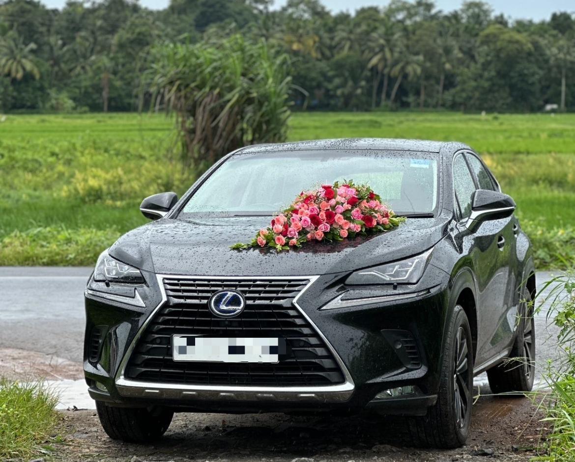 Lexus NX 300h